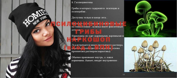 герыч Абаза