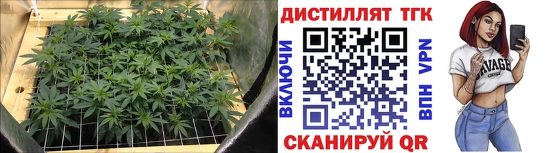 Дистиллят ТГК гашишное масло Кингисепп
